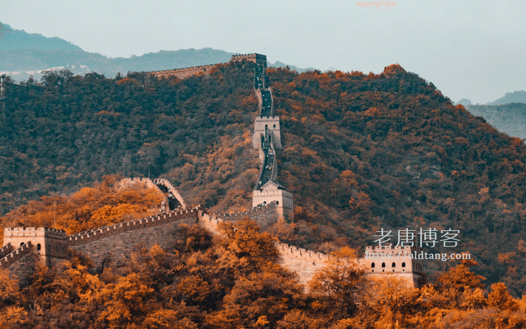 搬瓦工最便宜的 CN2 GIA VPS 限量版方案 $39.99/年-老唐笔记