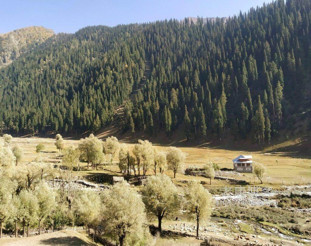 搬瓦工日本软银机房 JPOS 和搬瓦工香港 CN2 GIA 机房哪个好？-老唐笔记