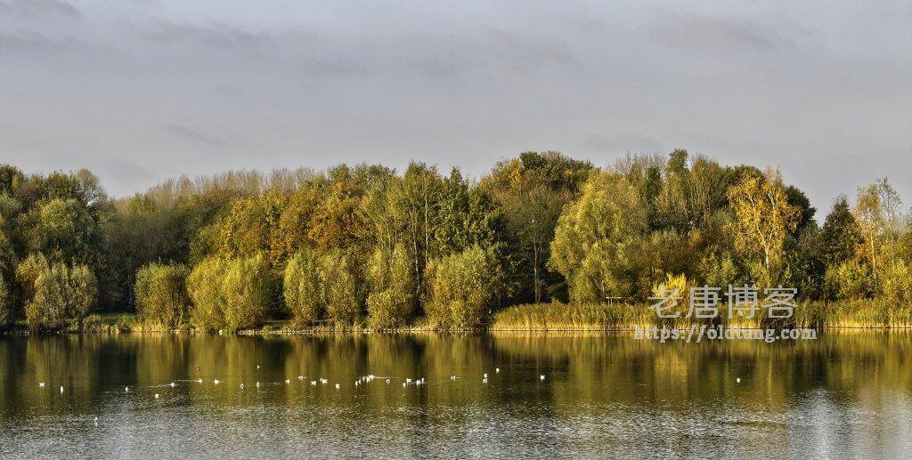 Dynadot：.ME 域名优惠注册仅需 $2.99，.COM 优惠注册 $7.99-老唐笔记