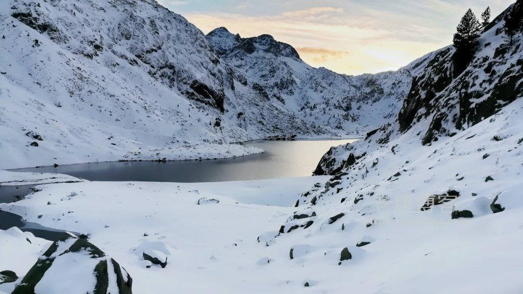 PacificRack 新年闪购新增低价超便宜方案年付 $6.66 洛杉矶 QN 机房-老唐笔记