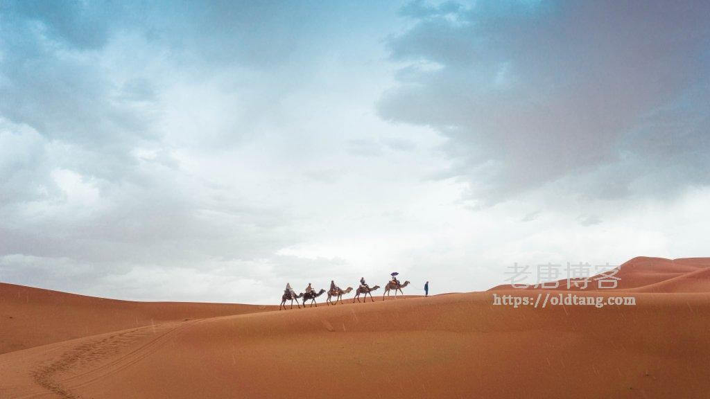 搬瓦工能否增加额外的 IP 地址?搬瓦工能不能单独购买 IP 地址?-老唐笔记