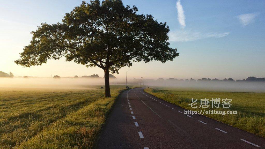 搬瓦工限量版 DC6 CN2 GIA-E 20G 新款 $79.99/年 多机房可选-老唐笔记