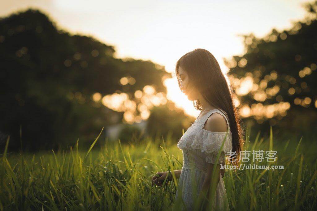 SpartanHost 斯巴达补货 - 西雅图CeraNetworks/20G高防/适合建站-老唐笔记