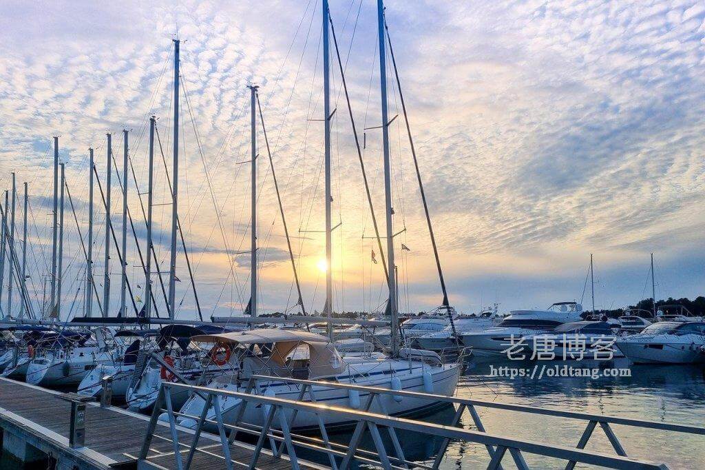 Vultr VPS 是否预装 cPanel WHM/WordPress/PHP/MySQL 等应用？-老唐笔记