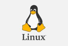 UnixBench：Linux VPS 服务器性能测试跑分脚本-老唐笔记