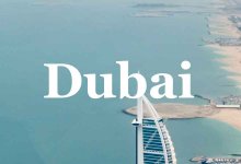 搬瓦工迪拜电子商务套餐介绍 DUBAI ECOMMERCE-老唐笔记