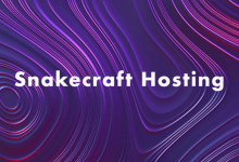 Snakecraft Hosting：密歇根州大急流城便宜 VPS 服务器-老唐笔记
